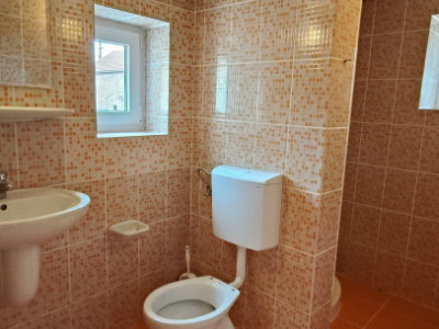 Case de vanzare Calnic imagine mica 12