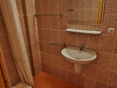 Case de vanzare Calnic imagine mica 16