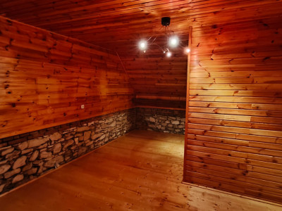 Case de vanzare Calnic imagine mica 28