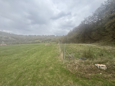 Teren de vanzare langa padure 15600 mp in Hamba Sibiu