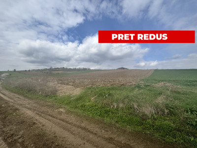 Teren intravilan  4600mp cu deschidere la drum 37ml in Sura Mare Sibiu