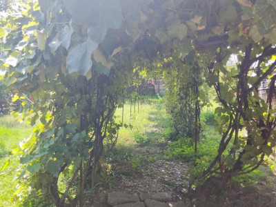 Case de vanzare Sibiu Lazaret imagine mica 6