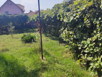 Case de vanzare Sibiu Lazaret imagine mica 7