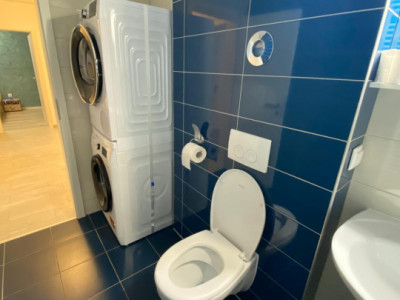 Apartamente de inchiriat Sibiu Doamna Stanca imagine mica 7