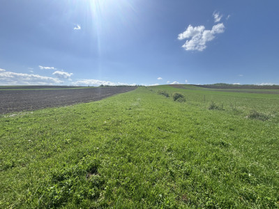 Teren de vanzare extravilan 6500 mp in Hamba judetul Sibiu