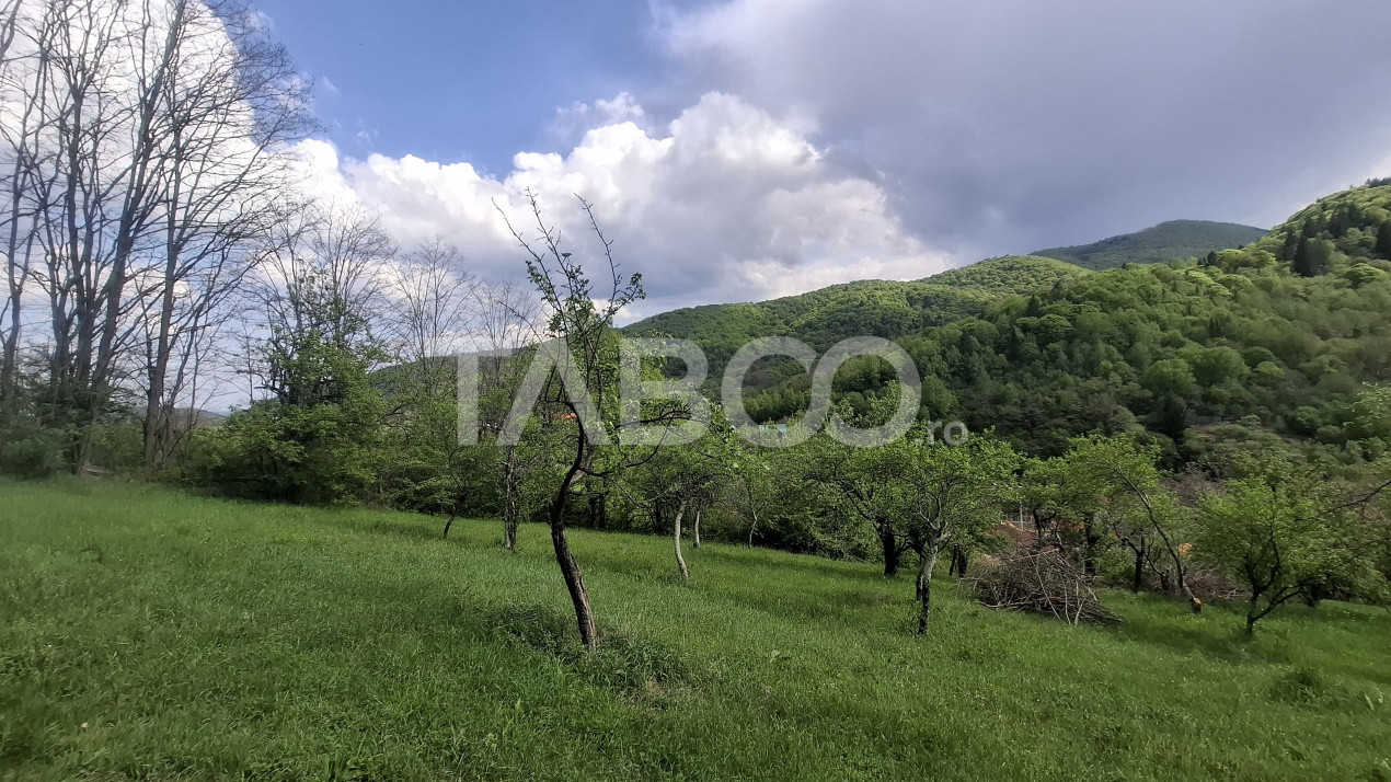 Terenuri de vanzare Sibiel 2