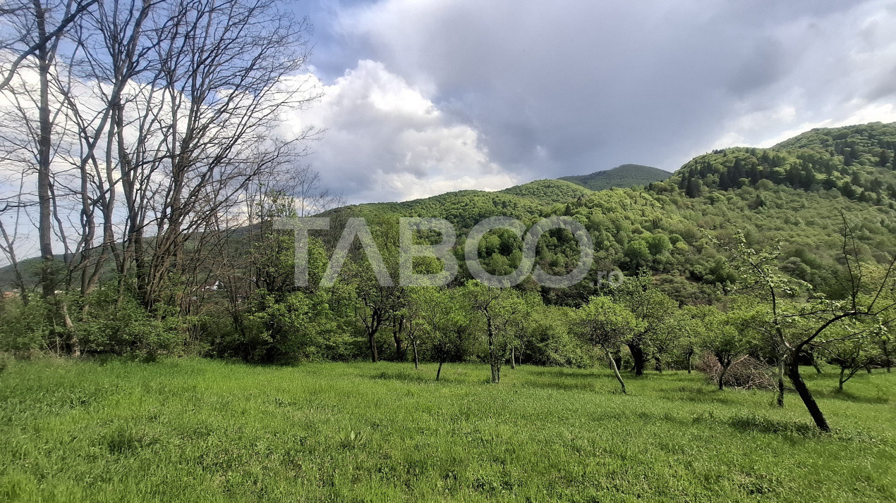 Terenuri de vanzare Sibiel 4