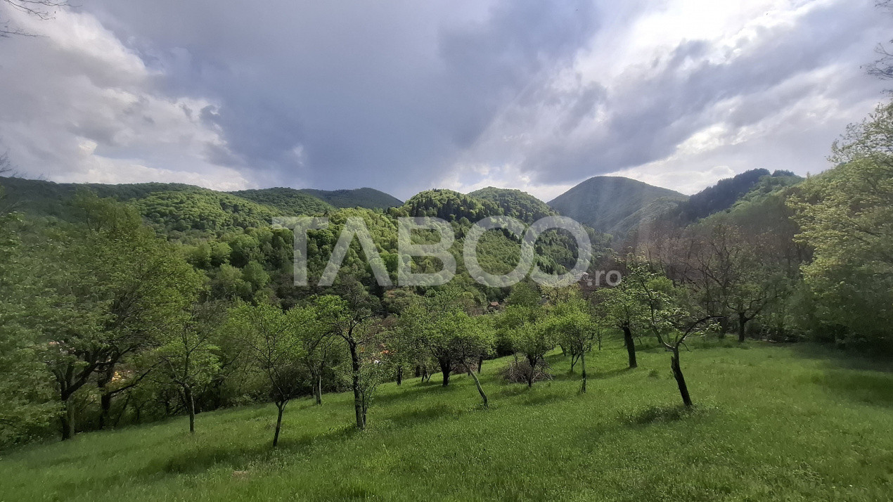 Terenuri de vanzare Sibiel 5