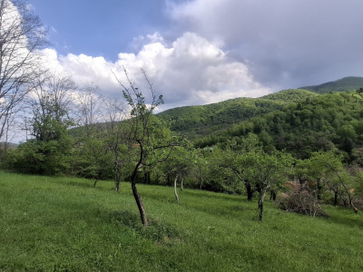 Terenuri de vanzare Sibiel imagine mica 2