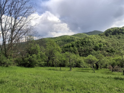 Terenuri de vanzare Sibiel imagine mica 4