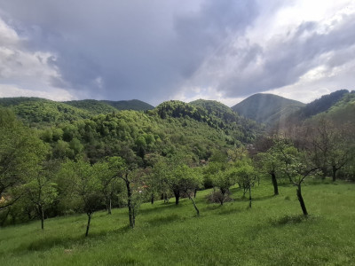 Terenuri de vanzare Sibiel imagine mica 5