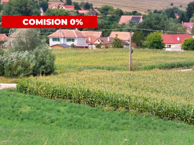 Case de vanzare Marpod imagine mica 10