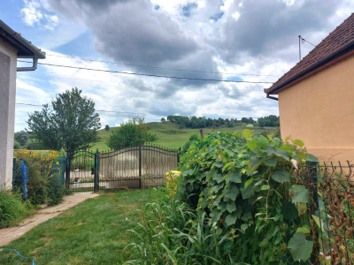 Case de vanzare Marpod imagine mica 20