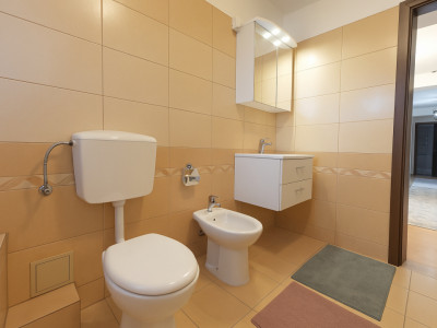 Apartamente de vanzare Sibiu Central imagine mica 7