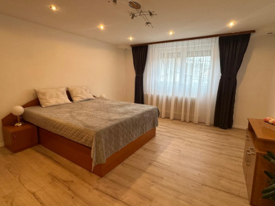 Case de vanzare Sibiu Turnisor imagine mica 7