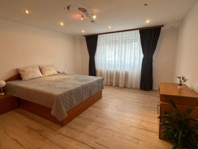 Case de vanzare Sibiu Turnisor imagine mica 20