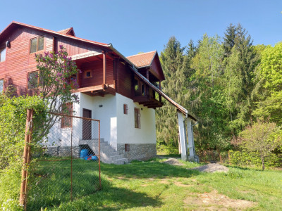Casa spatioasa 5 dormitoare 565 mp teren cu parau si padure Tocile