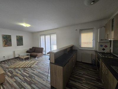 Apartamente de inchiriat Sibiu Lupeni imagine mica 4