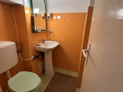 Apartamente de inchiriat Sibiu Terezian imagine mica 9