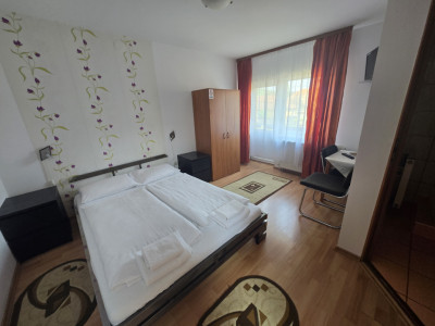 Case de vanzare Sibiu Lazaret imagine mica 3