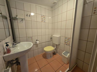 Case de vanzare Sibiu Lazaret imagine mica 4