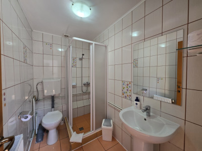 Case de vanzare Sibiu Lazaret imagine mica 6