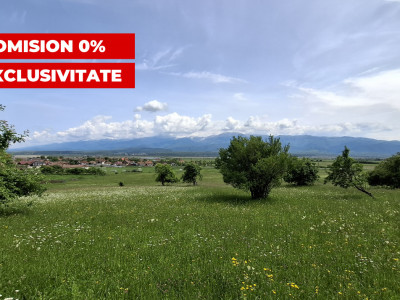 COMISION 0% Teren intravilan de vanzare 4460 mp Bradu Sibiu