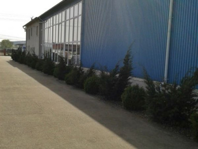 Spatii comerciale de vanzare Sebes Drumul Petrestiului imagine mica 7
