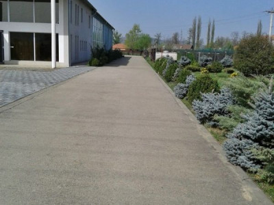 Spatii comerciale de vanzare Sebes Drumul Petrestiului imagine mica 9