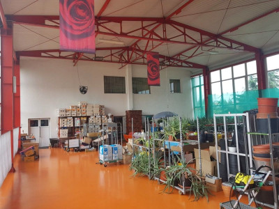 Spatii comerciale de vanzare Sebes Drumul Petrestiului imagine mica 13