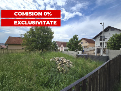 Terenuri de vanzare Sibiu Turnisor imagine mica 1