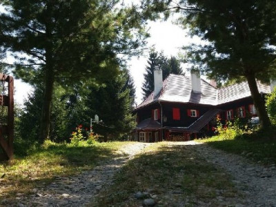 Hoteluri de vanzare Cisnadie imagine mica 11