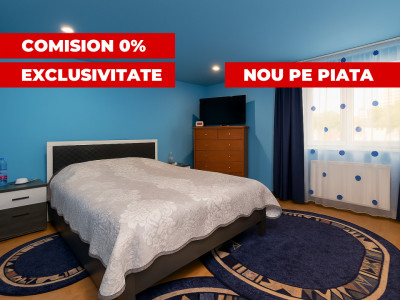 Case de vanzare Sibiu Vasile Aaron imagine mica 3