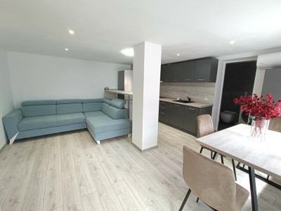 Apartament 2 camere - mobilat modern - curte proprie cu filigorie