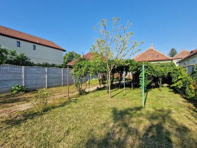 Case de vanzare Sibiu Trei Stejari imagine mica 9
