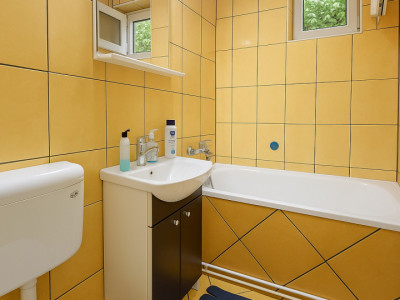 Apartamente de inchiriat Sibiu Vasile Aaron imagine mica 10