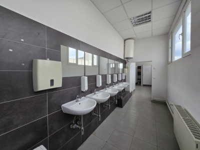 Spatii industriale de inchiriat Cisnadie imagine mica 5
