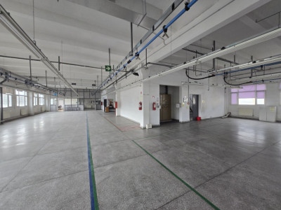 Spatii industriale de inchiriat Cisnadie imagine mica 3