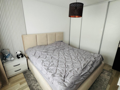 Case de vanzare Sura Mare imagine mica 3