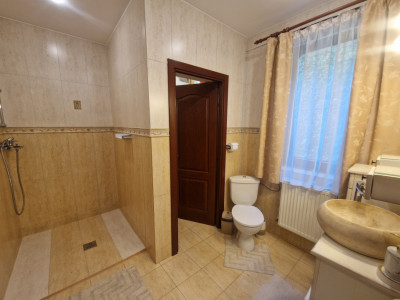 Case de inchiriat Sibiu Selimbar imagine mica 7