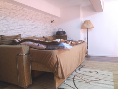 Apartamente de inchiriat Sibiu Central imagine mica 2