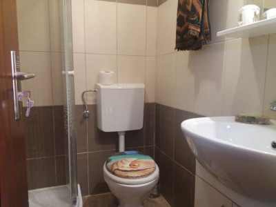 Apartamente de inchiriat Sibiu Central imagine mica 8
