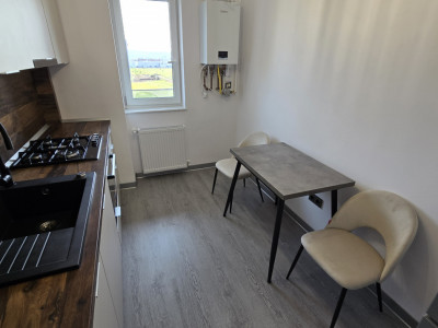 Apartamente de inchiriat Sibiu Doamna Stanca imagine mica 8