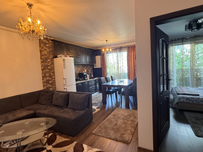 Apartamente de inchiriat Sibiu Lupeni imagine mica 7
