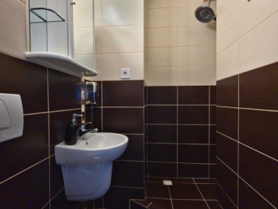 Apartamente de inchiriat Sibiu Rahovei imagine mica 9