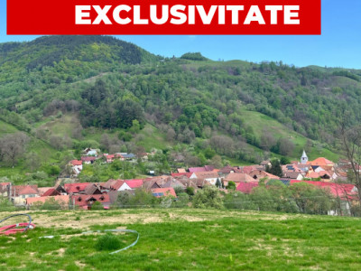 Terenuri de vanzare Rau Sadului imagine mica 1
