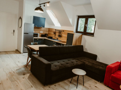 Apartamente de inchiriat Sibiu Sub Arini imagine mica 1