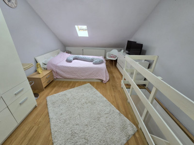 Apartament de vanzare 2 camere Terezian mobilat utilat
