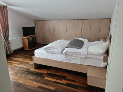 Case de vanzare Beclean imagine mica 8