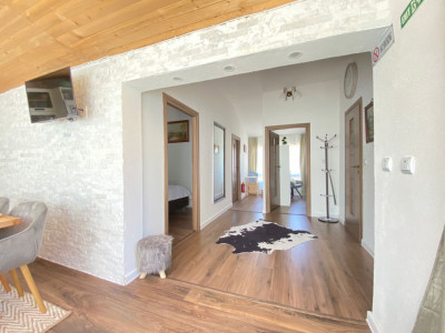 Case de vanzare Sura Mare imagine mica 2